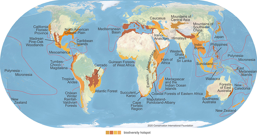 Exhibit 3: Biodiversity hotspots map