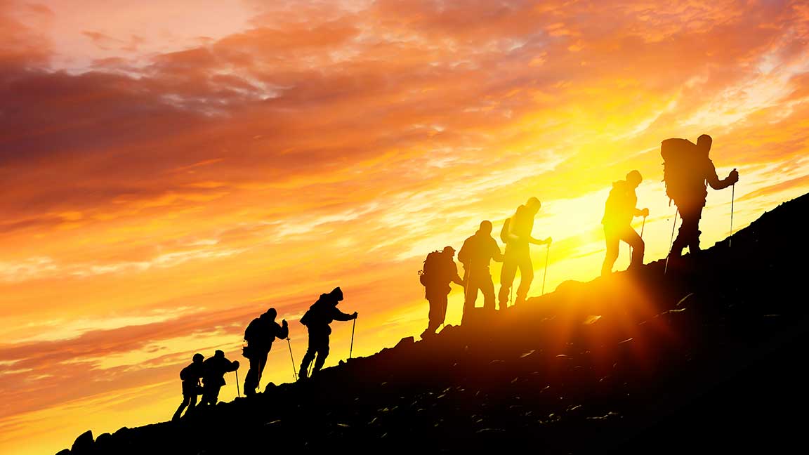 Risk Leaders