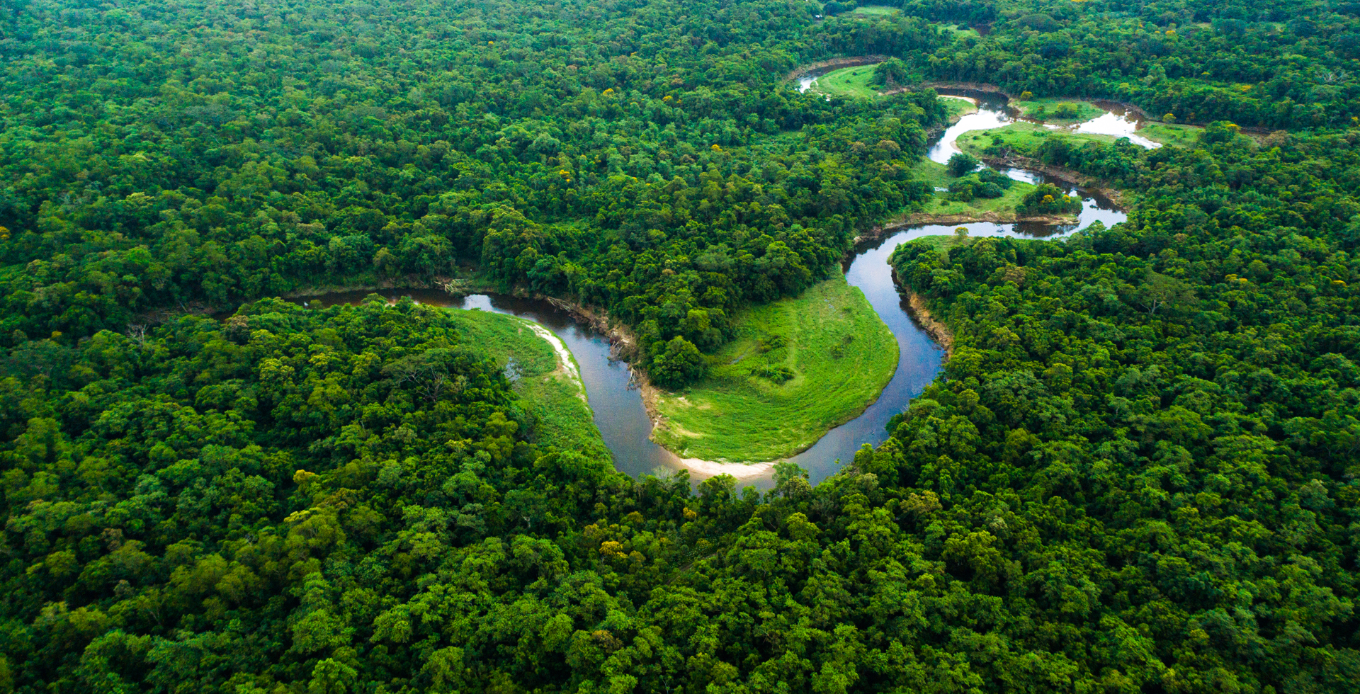 Meandering Itapanhau River in the rainforest - Brazil