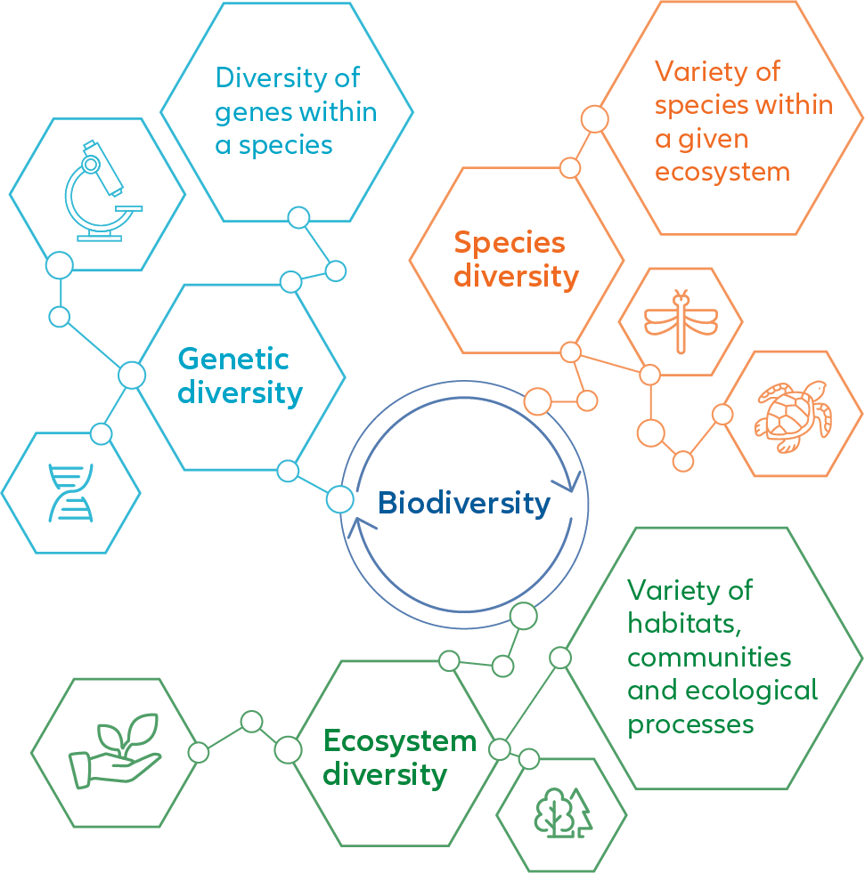 What is biodiversity