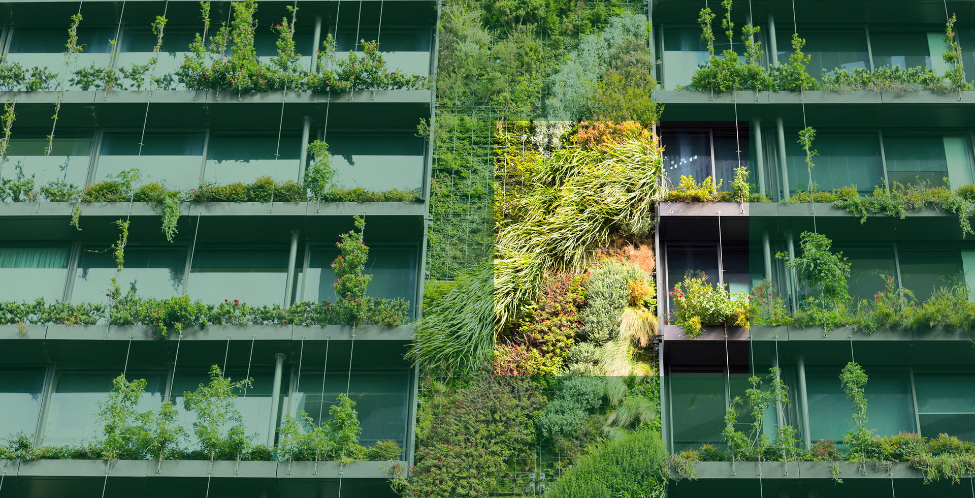 Allianz Global Investors Five Ways The Coronavirus Could Change How We Think About Sustainability