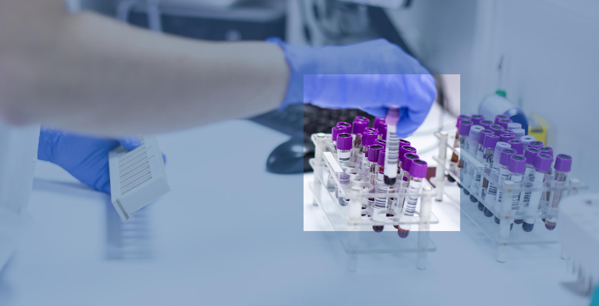 Coronavirus stay alert for further market volatility