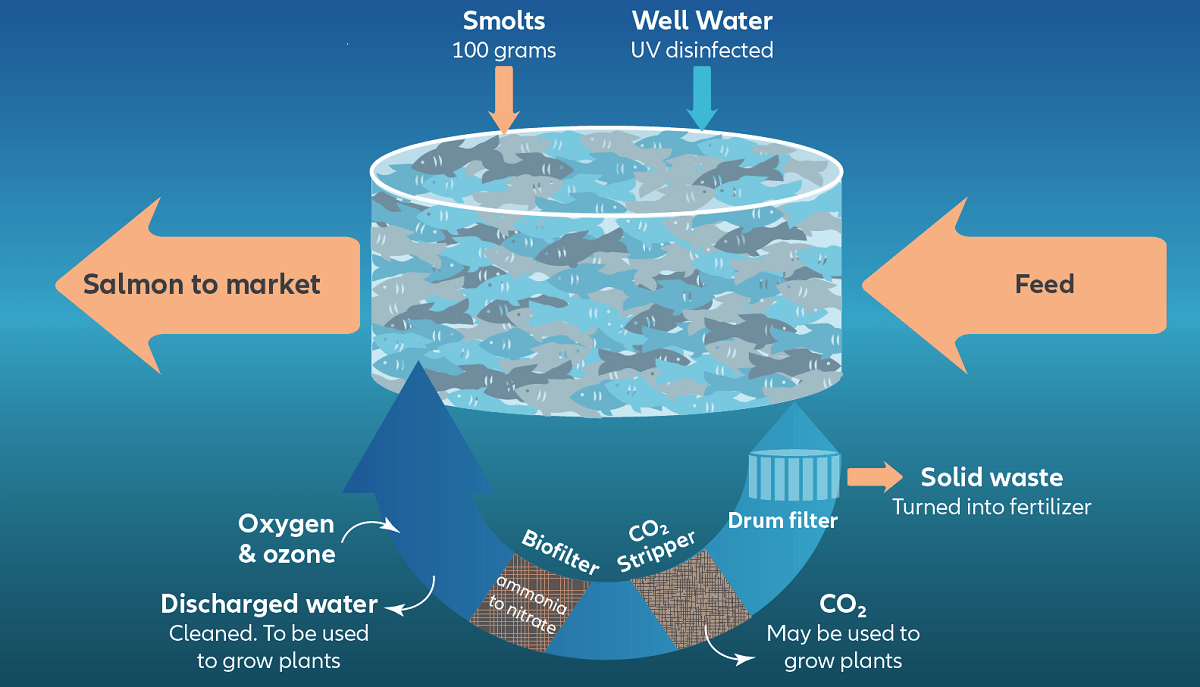 Aquaculture Ecosystem