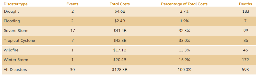 Billion-dollar events to affect the United States from 2020 to 2021 (CPI-Adjusted) Chart