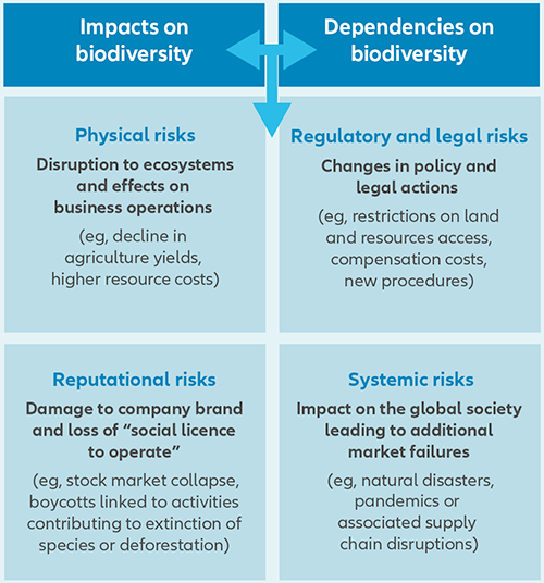 Exhibit 1: The double-materiality of biodiversityrelated risks