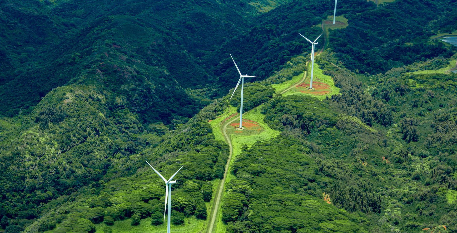 green rolling hills with wind turbines