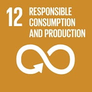 responsible consumption and production