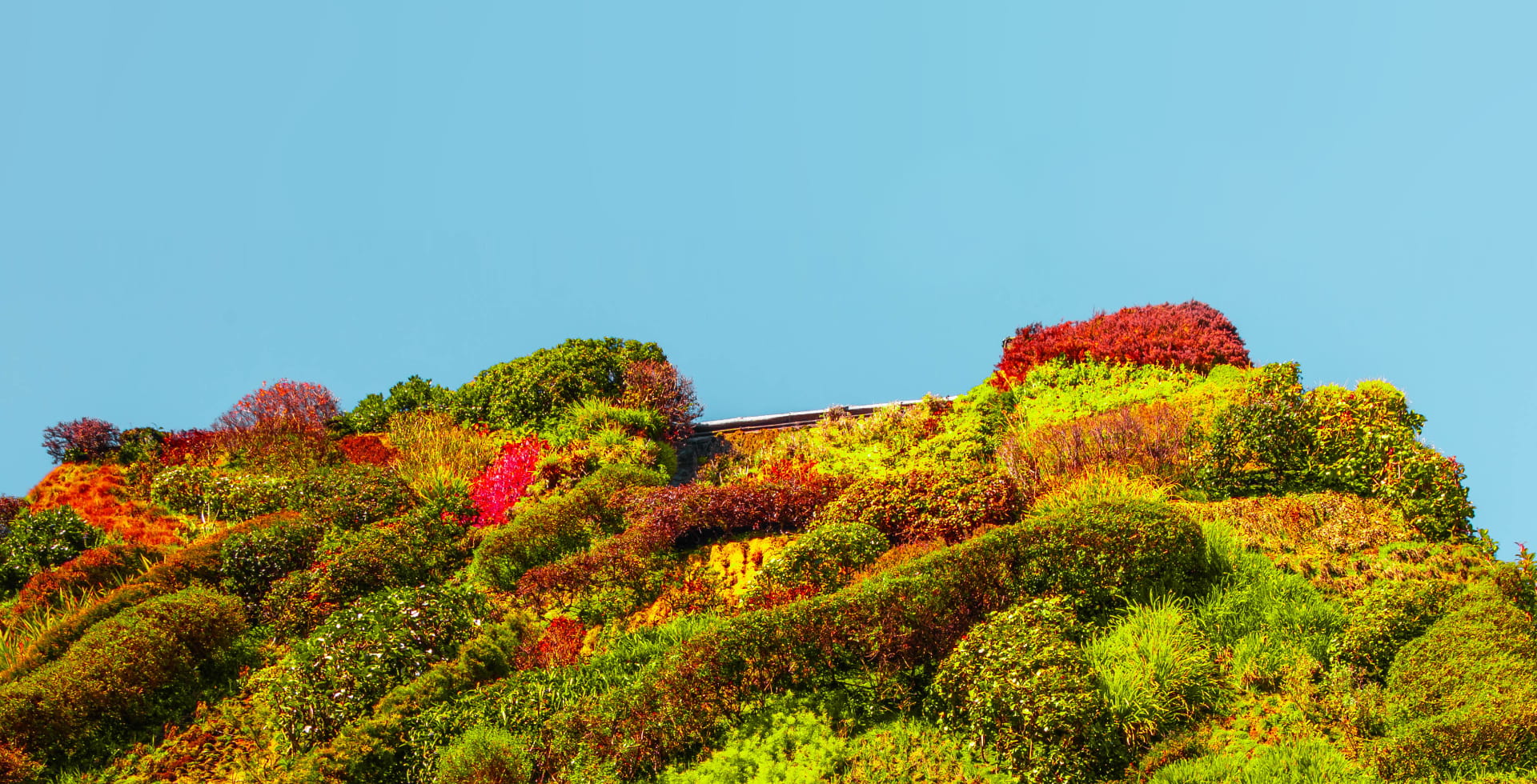 Sustainability