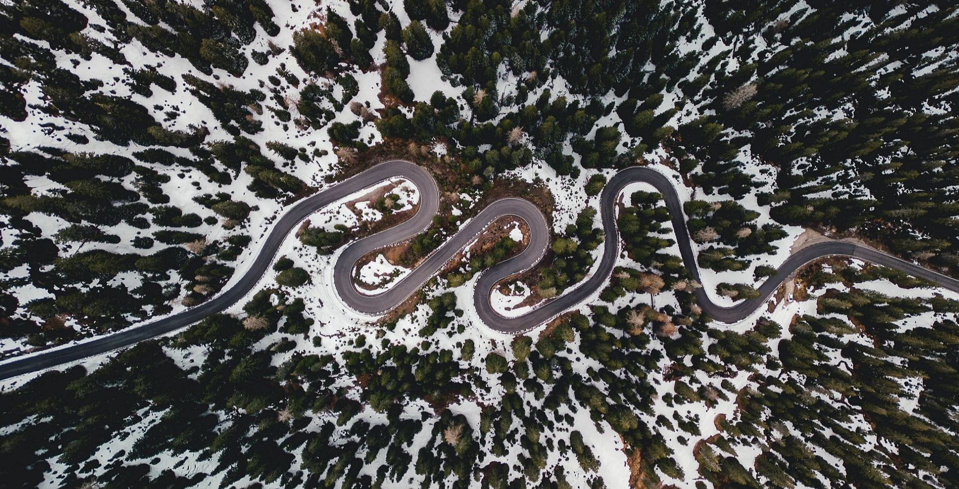 Year of the Snake | Allianz Global Investors