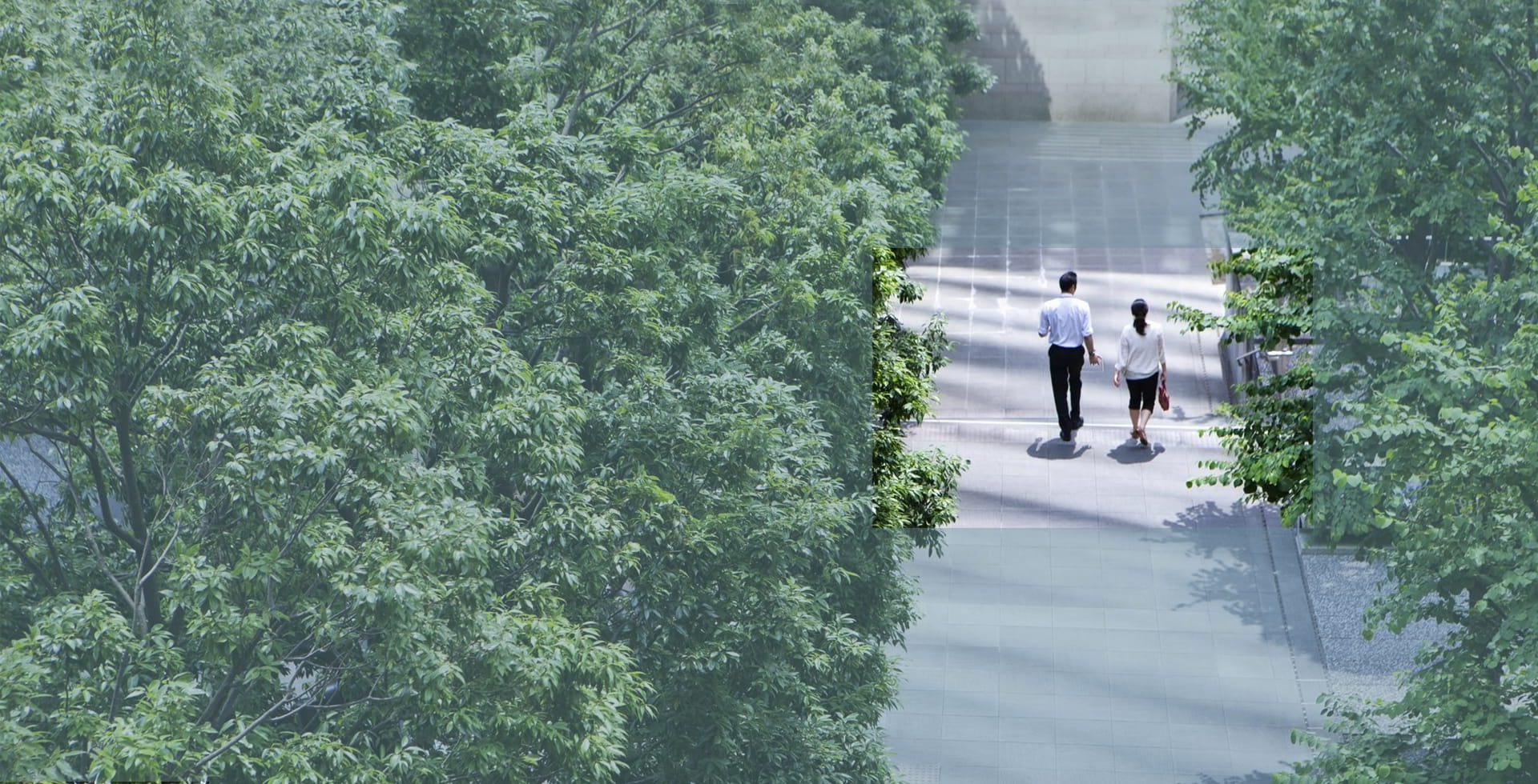 AllianzGI Sustainability Report