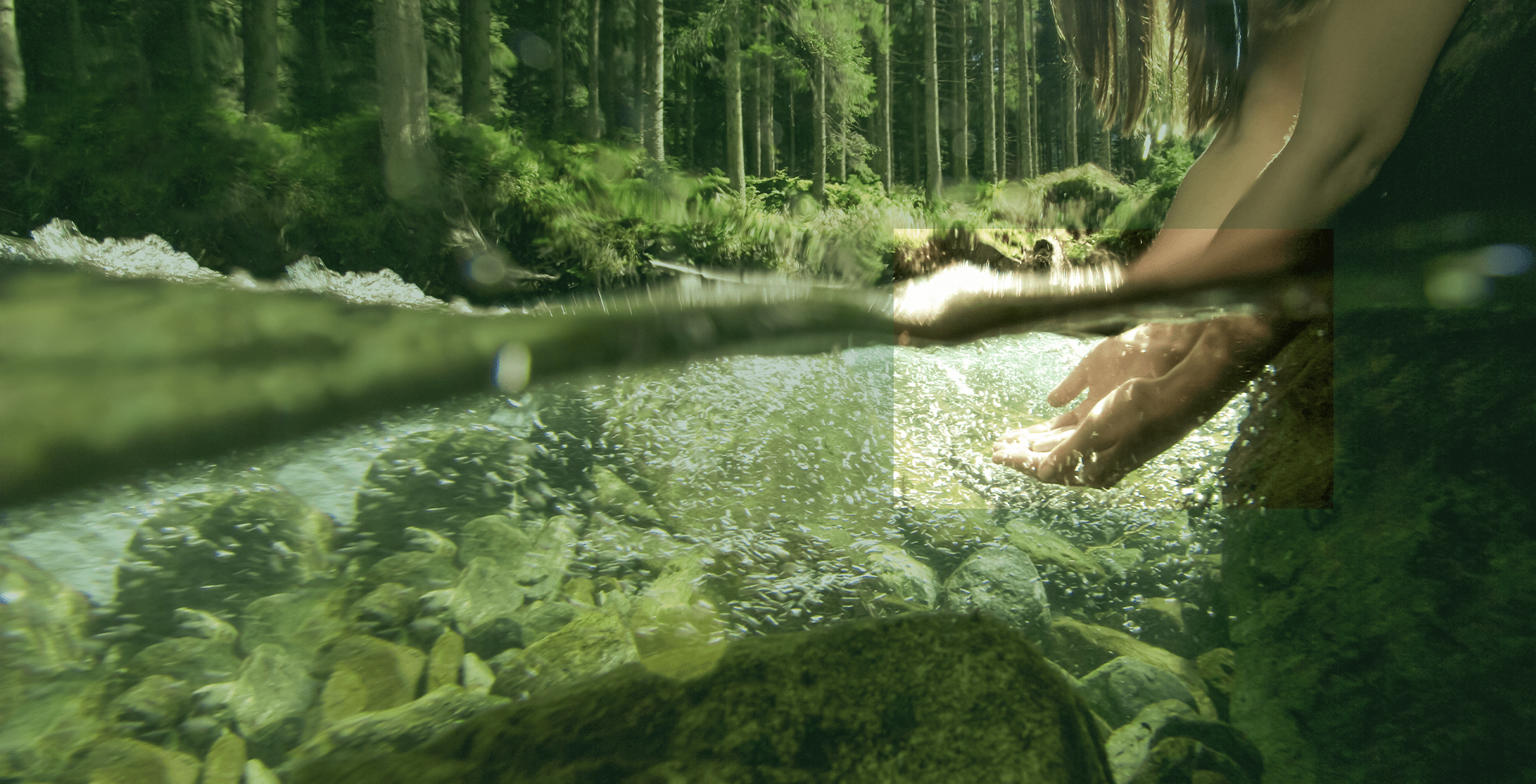 Sustainability days 2021